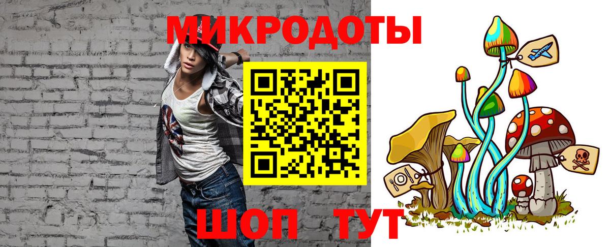 где продают наркотики  Псилоцибиновые грибы Psilocybe  Вход с VPN  Ачхой-Мартан 